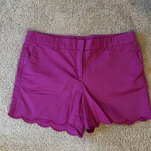 Loft shorts size 10